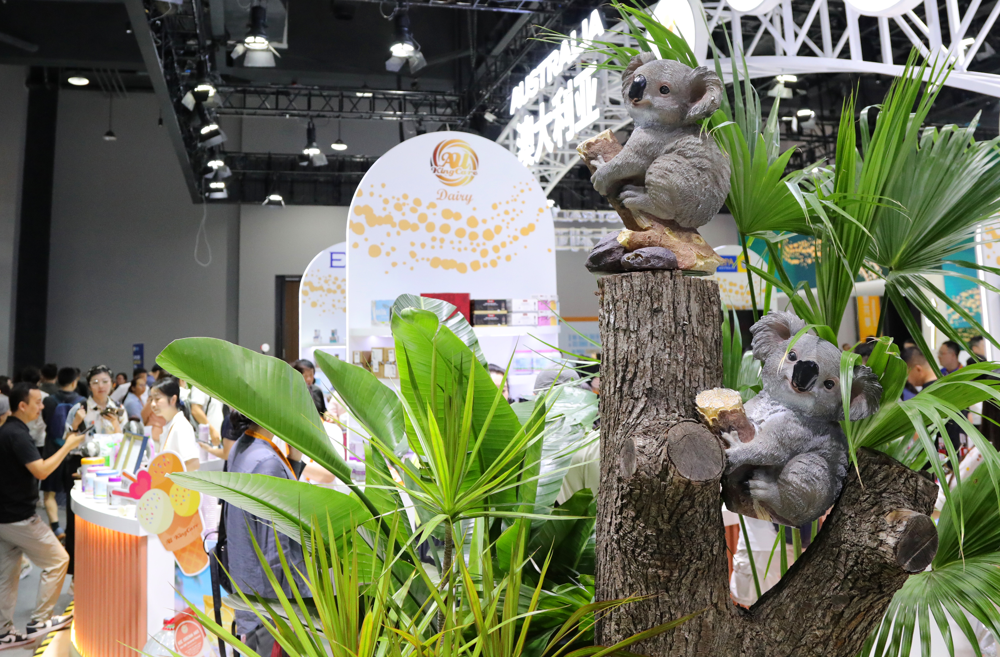 The Australian Exhibition Stand as the Guest Country of Honor at the 2025 CIFTIS